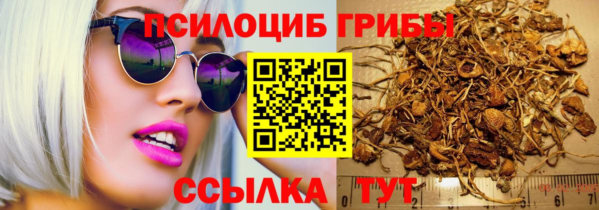 Псилоцибиновые грибы мицелий Волжск